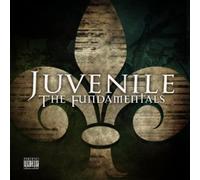 Dave Hampton The Fundamentals (CD) (Importación USA)