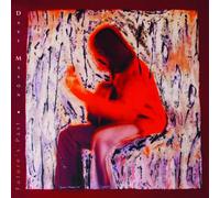 Dave Mason Future's Past (CD) (Importación USA)