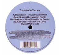 Dave Seaman Pres... - This Is Audiotherapy Smplr 2 [Vinilo]