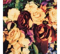 Dave Stewart and The Spiritual Cowboys - Honest [Vinilo]