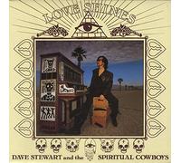 Dave Stewart - Love Shines