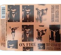 Dave Stewart & Spiritual Cowboys - On fire