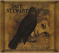 Dave Stewart - The Blackbird Diaries