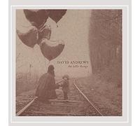 David Andrews - Little Things