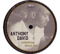 David,Anthony - Something About You [Vinilo]