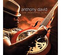 David, Anthony - The Powerful Now