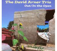 David Arner Trio - Out/In the Open