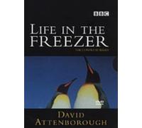 David Attenborough - Life in the Freezer [Reino Unido] [DVD]