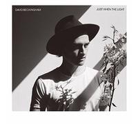 David Beckingham - Just When The Light