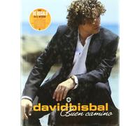 David bisbal - buen camino