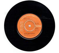 David Bowie - David Bowie - Beauty And The Beast / Sense Of Doubt (7" Vinyl)