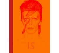 DAVID BOWIE IS INSIDE (Cultura Popular)