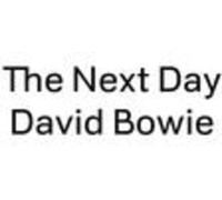 DAVID BOWIE - NEXT DAY 7 INCH (7" VINYL 45) EUROPEAN SONY 2013