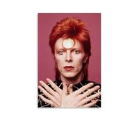 David Bowie - Póster decorativo para pared, póster de metal, clásico, vintage, decorativo, lienzo impreso, decoración estética para el hogar, 30 x 45 cm, estilo sin marco, 10