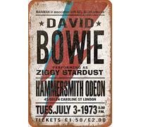 David Bowie Style Concert Cartel Retro de hojalata, Cartel Vintage, Placa, decoración de Pared para Bar, cafetería, jardín, Dormitorio, Oficina, Hotel, 20X30 cm