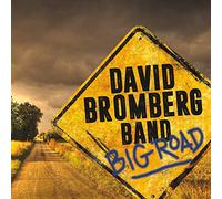 David Bromberg Band - Big Road