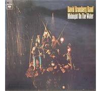 David Bromberg Band - Midnight On The Water [LP]