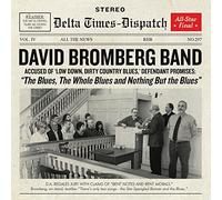 David Bromberg Band - The Blues The Whole Blues And Nothing But The Blues
