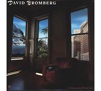 David Bromberg - Long Way From Here