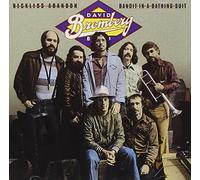 David Bromberg - Reckless Abandon & Bandit in a
