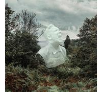 David C Clements - The Garden [Vinilo]