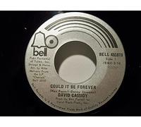 DAVID CASSIDY - could it be forever