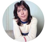 David Cassidy - I Think I Love You - Greatest Hits Live [Vinilo]