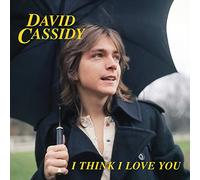David Cassidy - I Think I Love You [Vinilo]