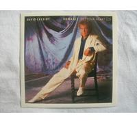 David Cassidy - Romance (Let Your Heart Go)