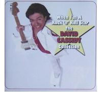 David Cassidy - When I'm a Rock'n'roll Star
