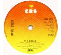 David Essex - DAVID ESSEX If I Could UK 7" 45
