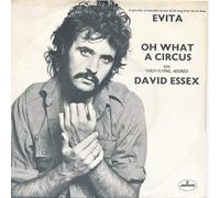 DAVID ESSEX - OH WHAT A CIRCUS 7 INCH (7" VINYL 45) IRISH MERCURY 1978