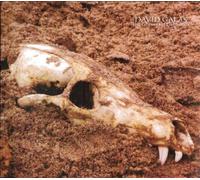 David Galas - The Ghosts Of California