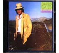 David Gates - Goodbye Girl