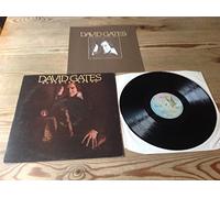 DAVID GATES - never let her go LP
