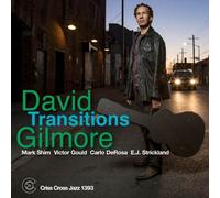 David Gilmore – Transitions – Integral