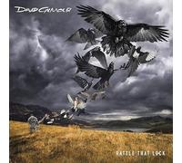 David Gilmour - David Gilmour - Rattle That Lock