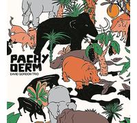 David Gordon Trio - Pachyderm [Vinilo]