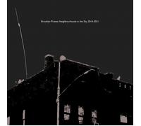 David Goren Brooklyn Pirates: Neighbourhoods in the Sky, 2014-2021 (Vinyl)