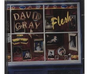 David Gray - Flesh