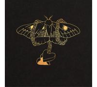 David Gray – Gold in a Brass Age – CD – Importación USA