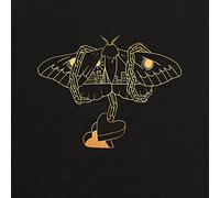 David Gray - Gold In A Brass Age [Vinilo]