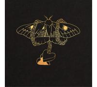 David Gray Gold in a Brass Age (Vinyl) 12" Album