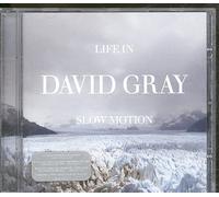David Gray - Life In Slow Motion