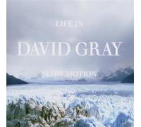 David Gray - Life In Slow Motion
