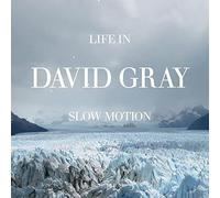 David gray - Life in slow motion