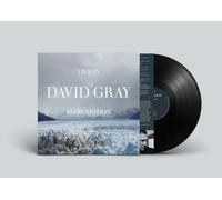David Gray – Life in Slow Motion – Vinilo – Edición 20.º Aniversario