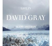 David Gray - Life in Slow Motion -20th Anniversary Edition- (Col.Lp) [Vinilo]