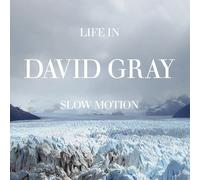 David Gray - Life In Slow Motion (Anniversary Edition) (LP)