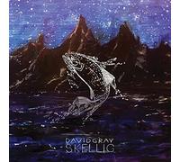 David Gray - Skellig [Vinilo]